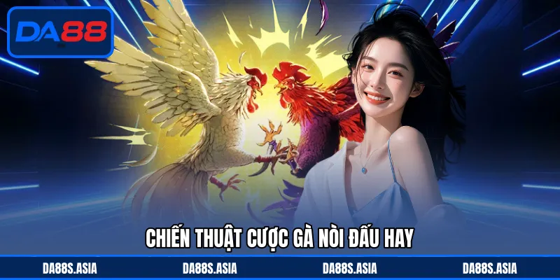 Đá Gà Nòi Cựa Sắt - Chiến Kê Máu Lửa, Trận Cầu Hấp Dẫn - win153.casa