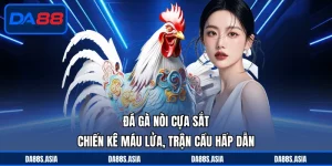 Đá Gà DA88 - Quy Tụ Chiến Kê Đẳng Cấp, Nhiều Khu Vực - win153.casa