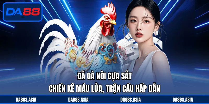 Đá Gà Nòi Cựa Sắt - Chiến Kê Máu Lửa, Trận Cầu Hấp Dẫn - win153.casa