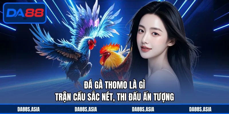 Đá Gà Thomo Là Gì - Trận Cầu Sắc Nét, Thi Đấu Ấn Tượng - win153.casa