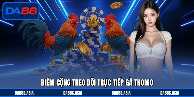 Đá Gà Thomo Là Gì - Trận Cầu Sắc Nét, Thi Đấu Ấn Tượng - win153.casa