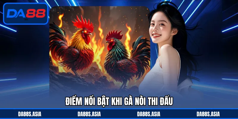 Đá Gà Nòi Cựa Sắt - Chiến Kê Máu Lửa, Trận Cầu Hấp Dẫn - win153.casa