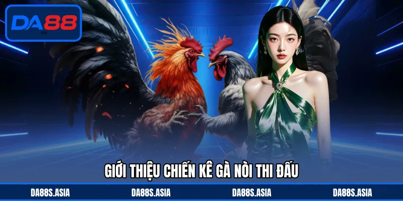 Đá Gà Nòi Cựa Sắt - Chiến Kê Máu Lửa, Trận Cầu Hấp Dẫn - win153.casa
