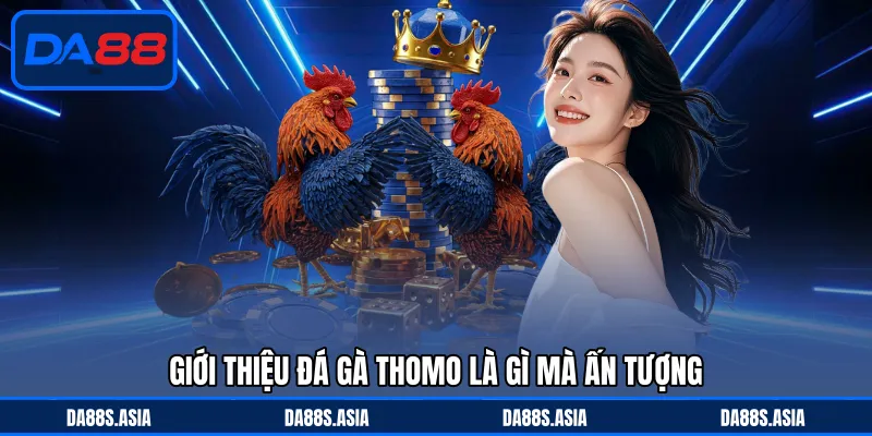 Đá Gà Thomo Là Gì - Trận Cầu Sắc Nét, Thi Đấu Ấn Tượng - win153.casa